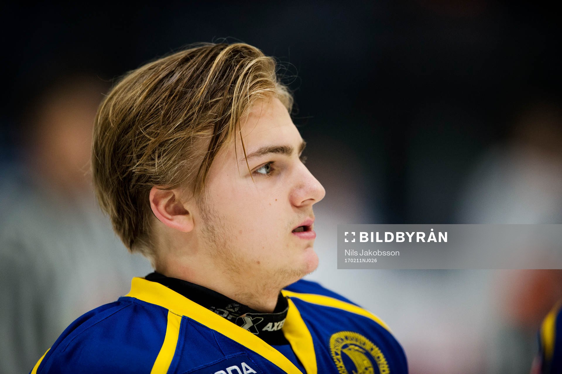 Sveriges Erik Brännström