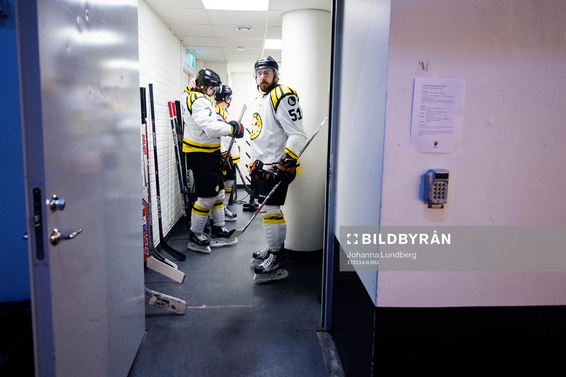 Brynäs Marc Zanetti