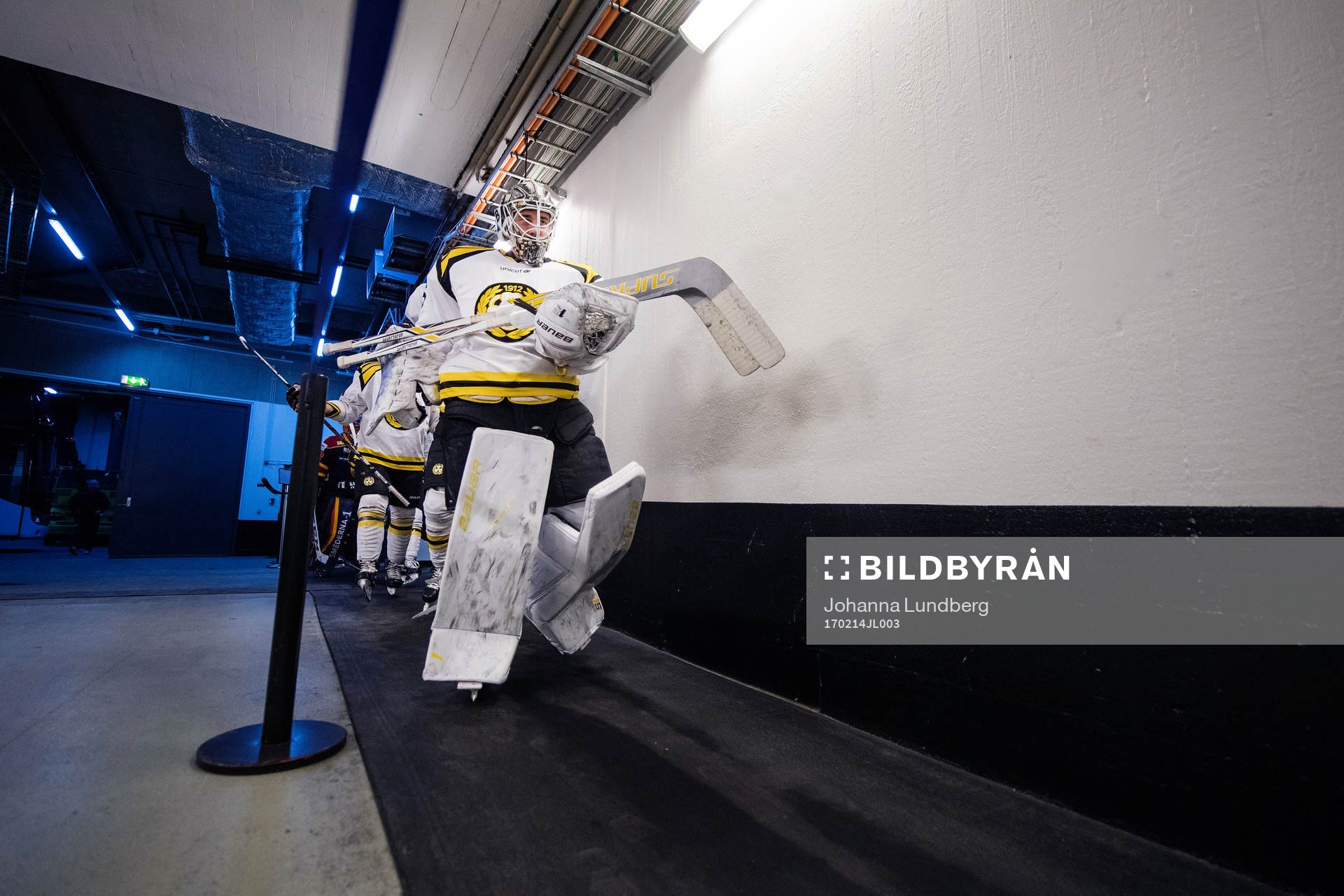 Brynäs målvakt David Rautio