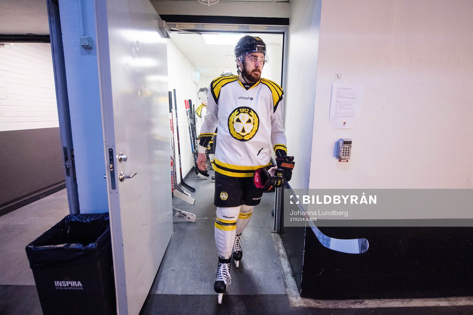 Brynäs Marc Zanetti