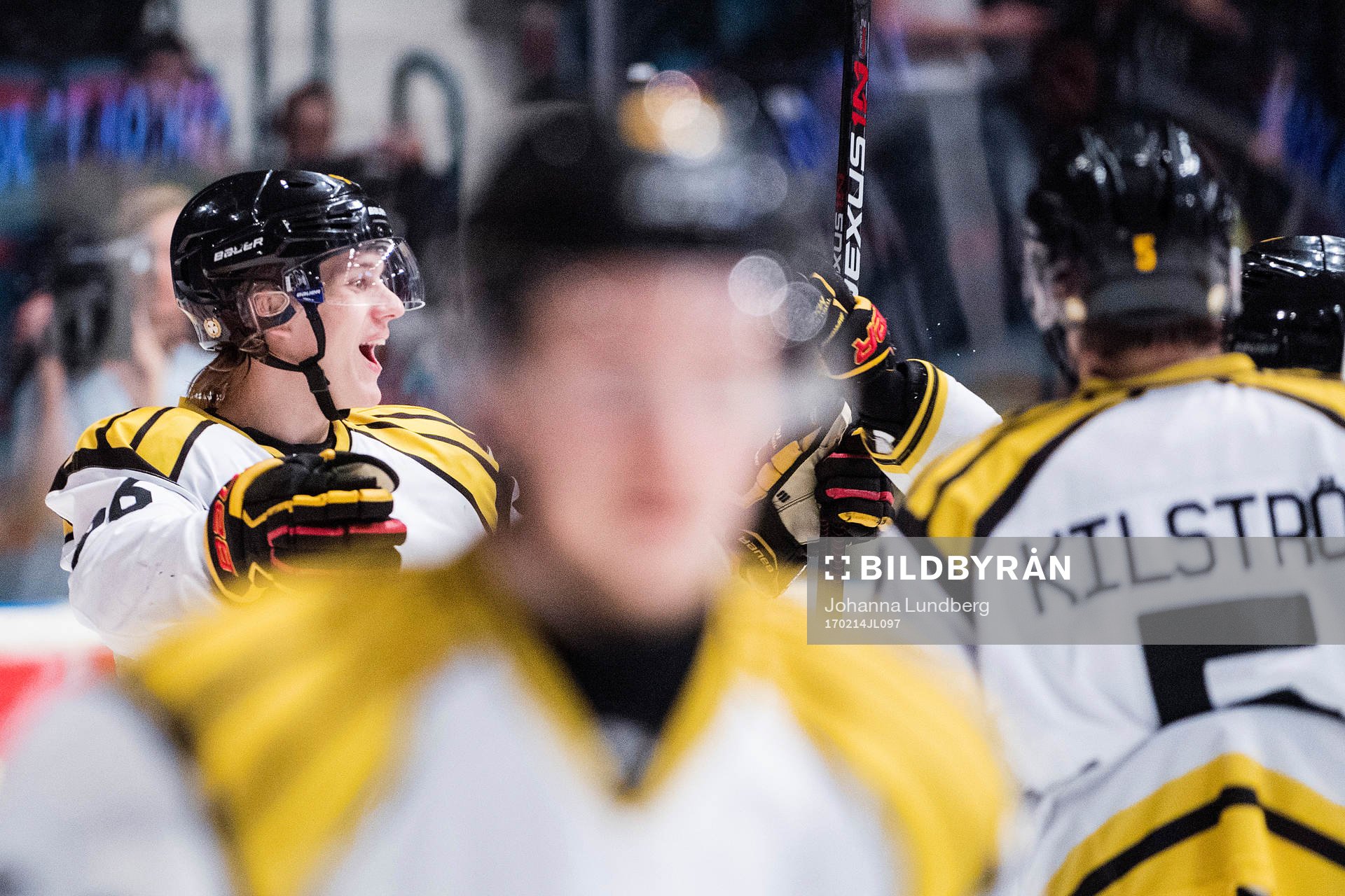 Brynäs Oskar Lindblom jublar