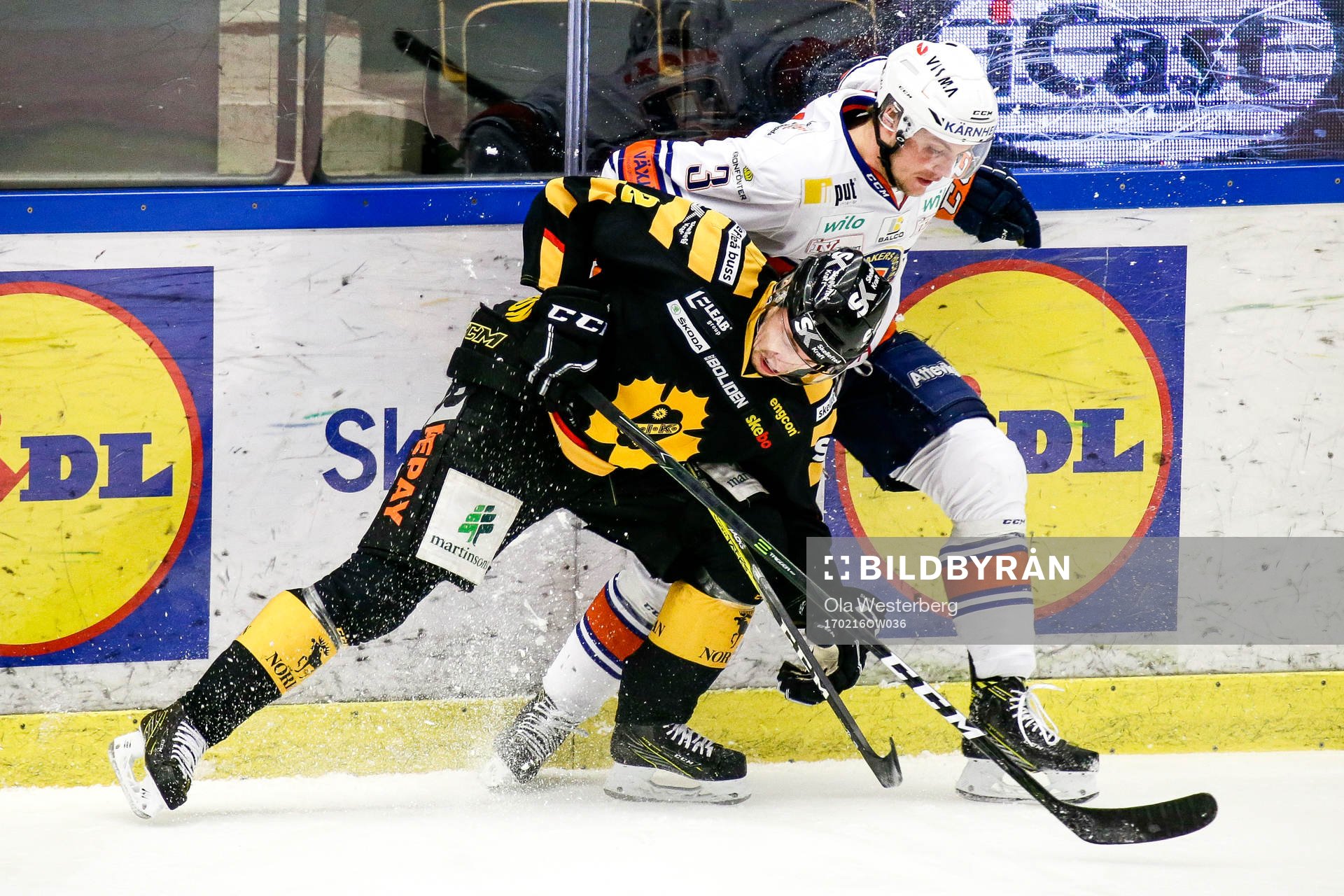 Skellefteås Adam Pettersson