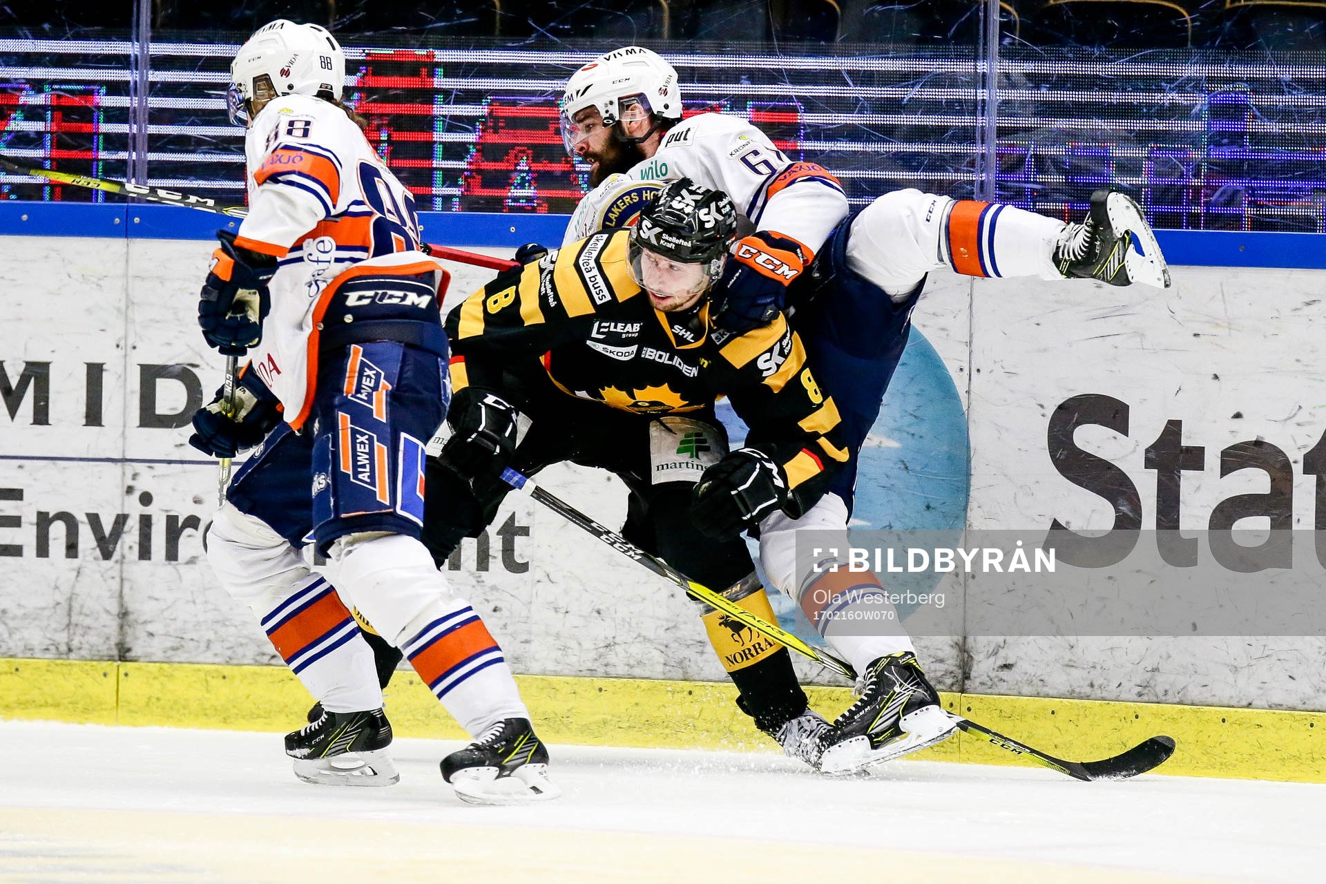 Skellefteås Marcus Pettersson