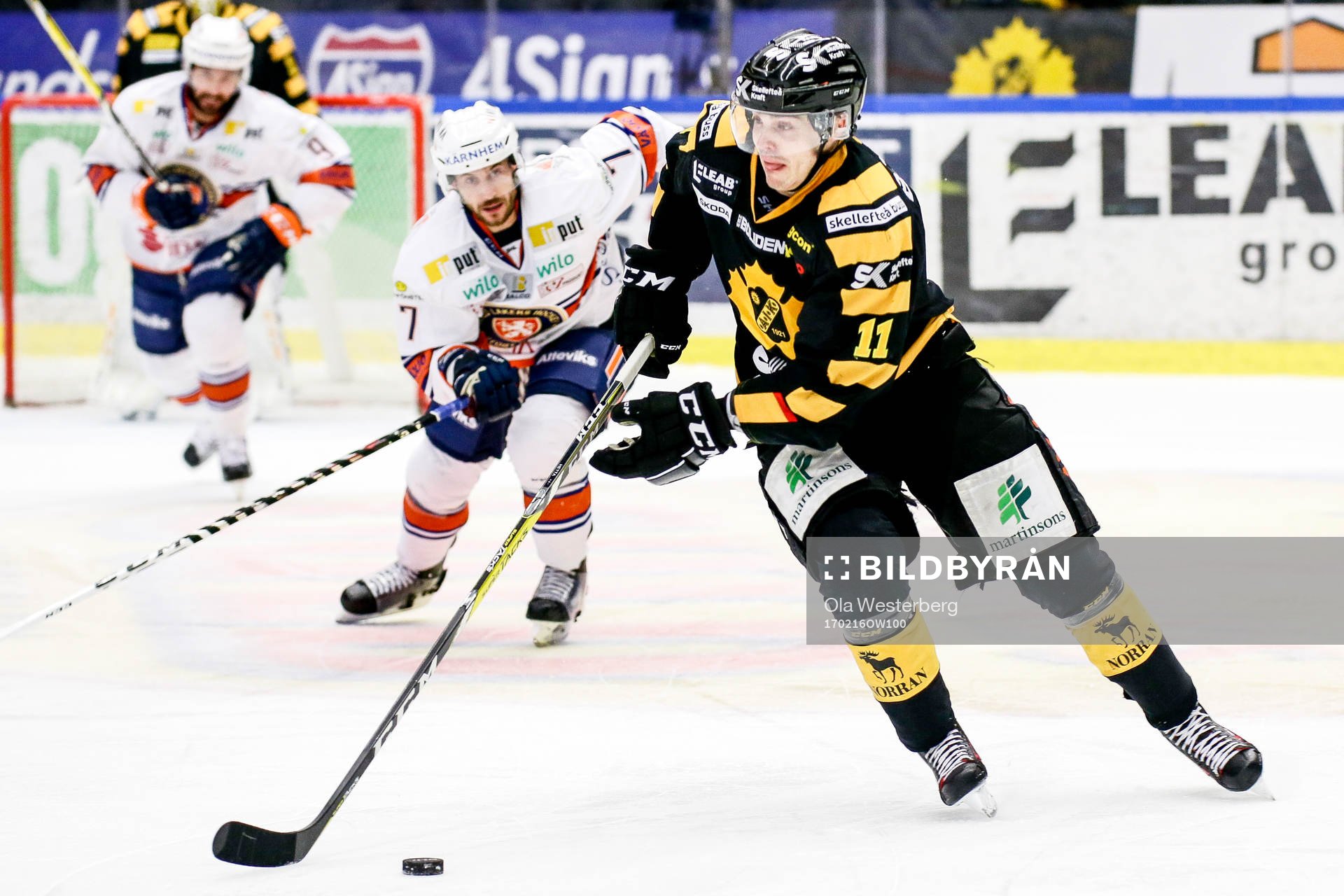 Skellefteås Henrik Hetta