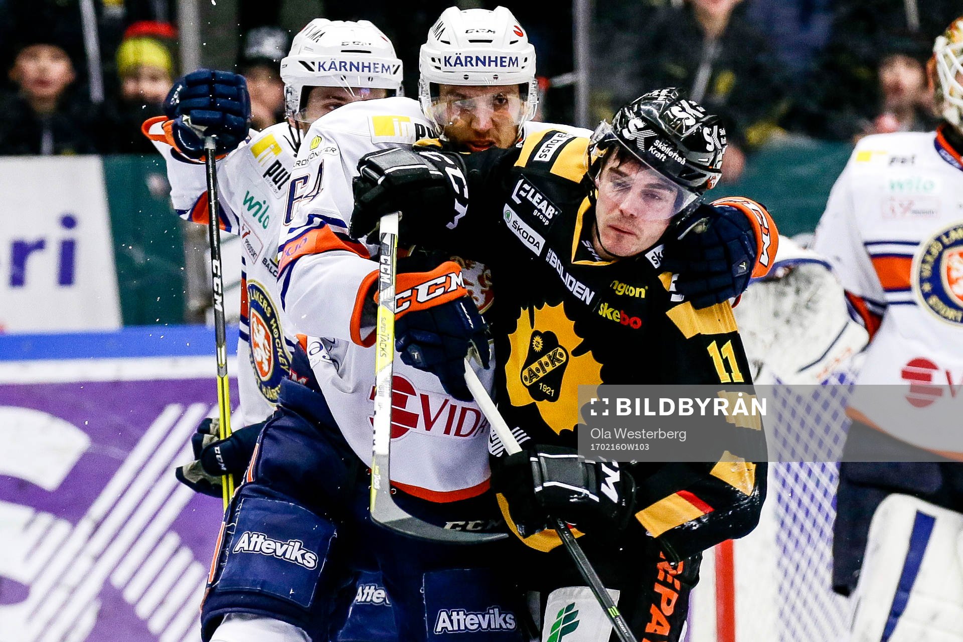 Skellefteås Henrik Hetta