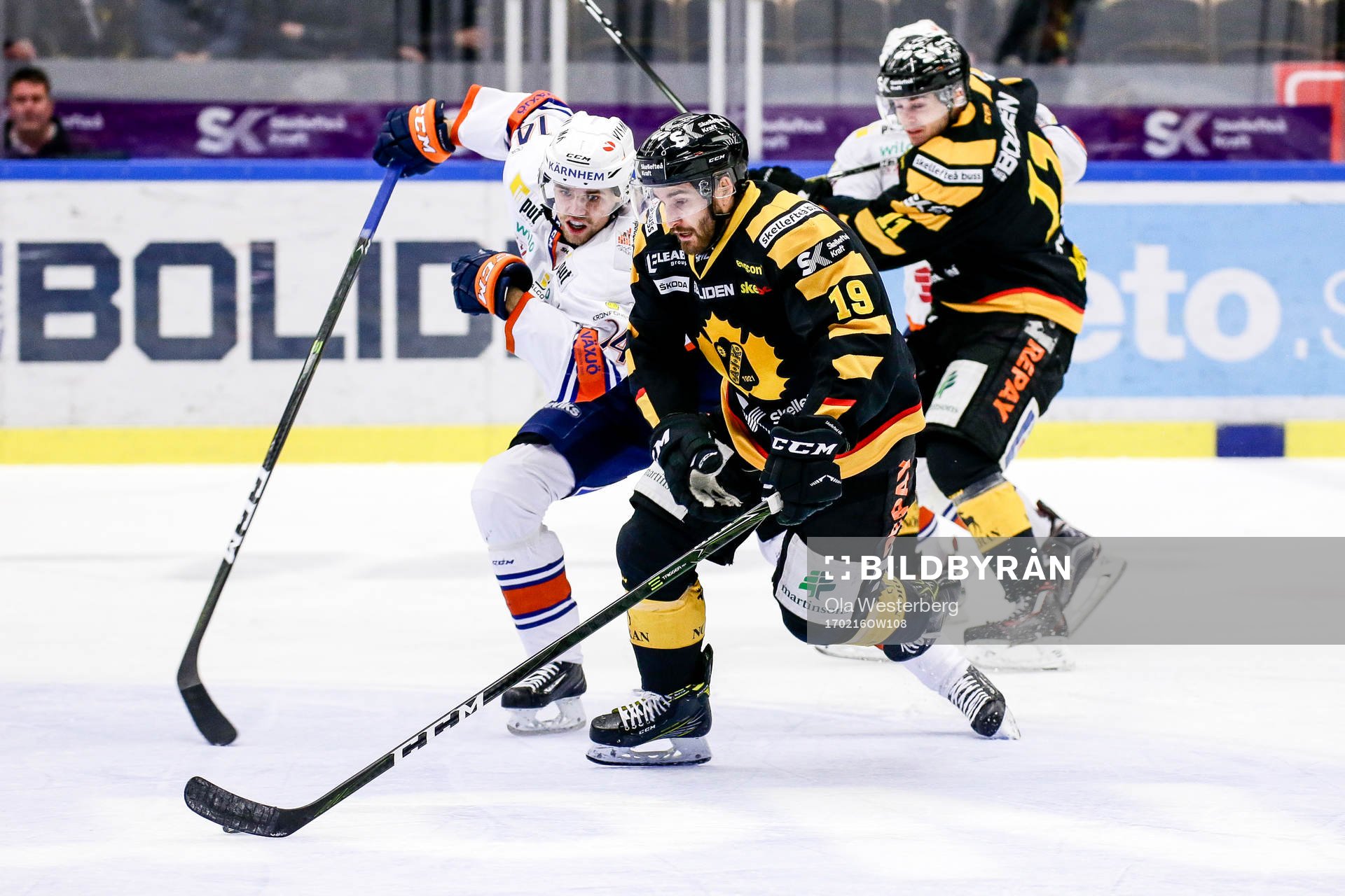 Skellefteås Andrew Calof