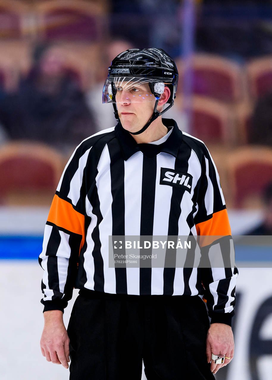 Domare Morgan Johansson