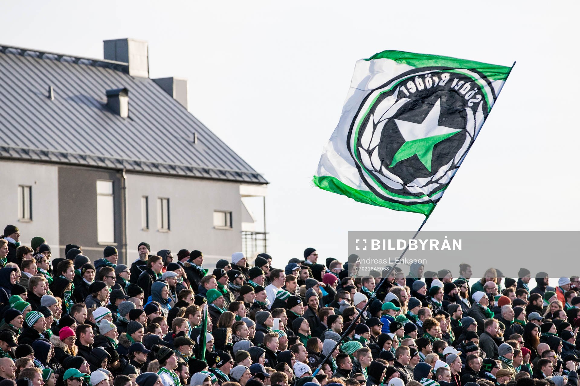 Hammarbys supportrar