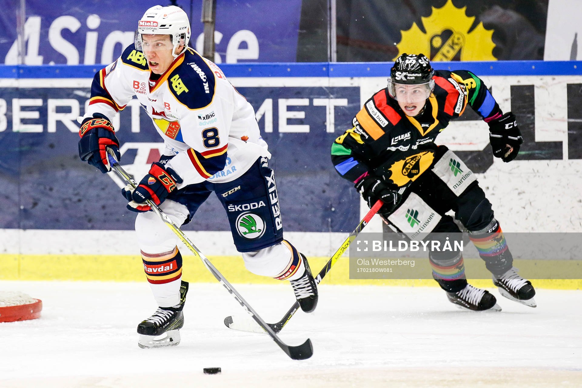 Skellefteås Tim Söderlund