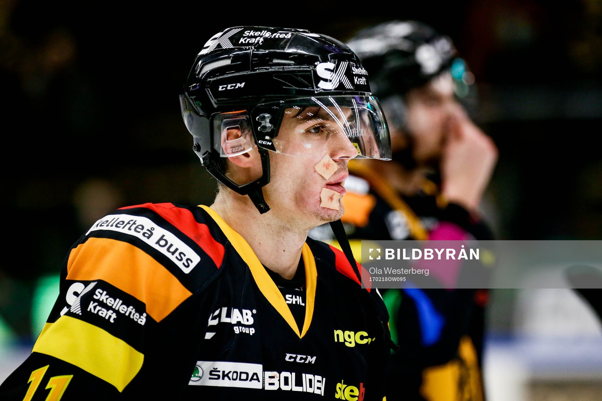 Skellefteås Henrik Hetta