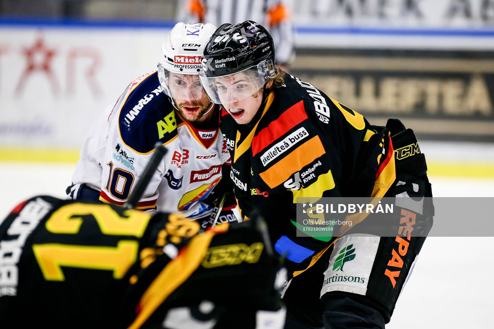 Skellefteås Tim Söderlund