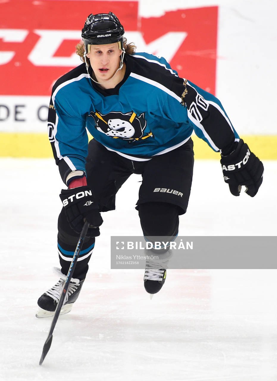 Dronts Jonathan Hedström