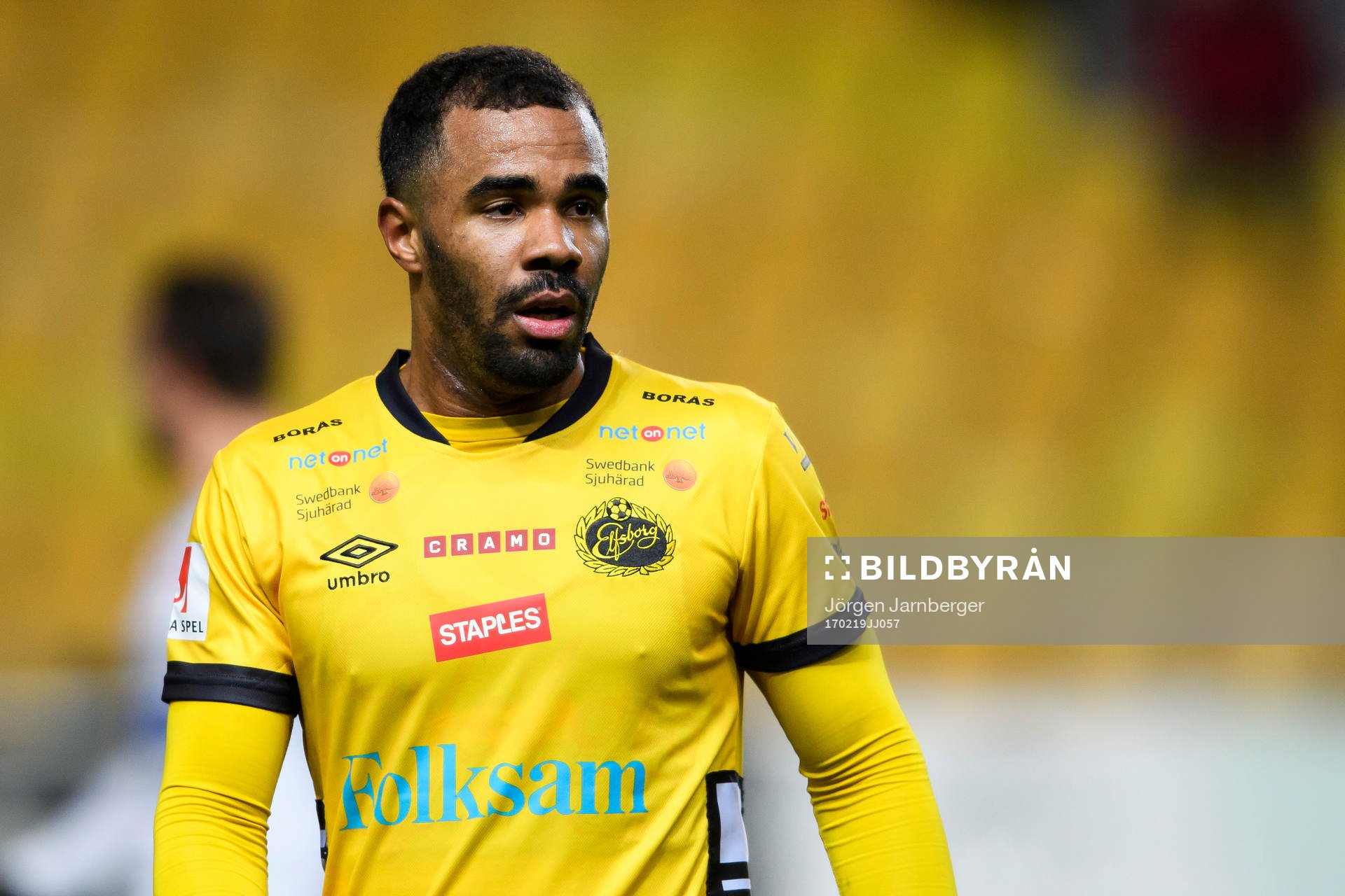 Elfsborgs Alex Dyer