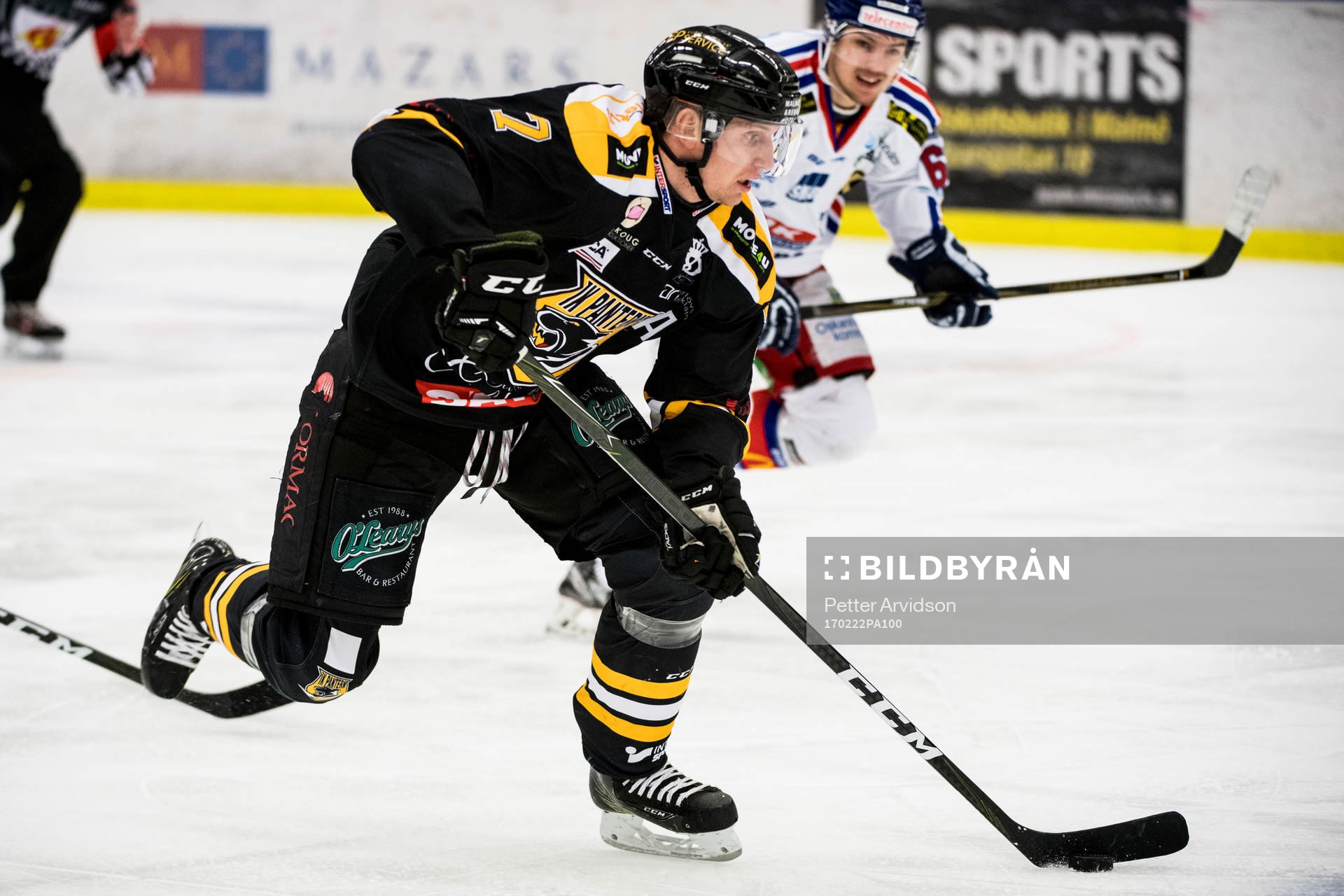 Panterns Filip Windlert