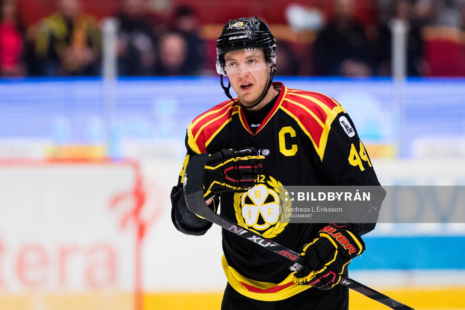 Brynäs Jacob Blomqvist