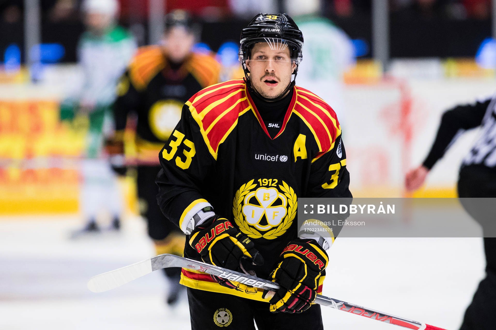 Brynäs Elias Fälth