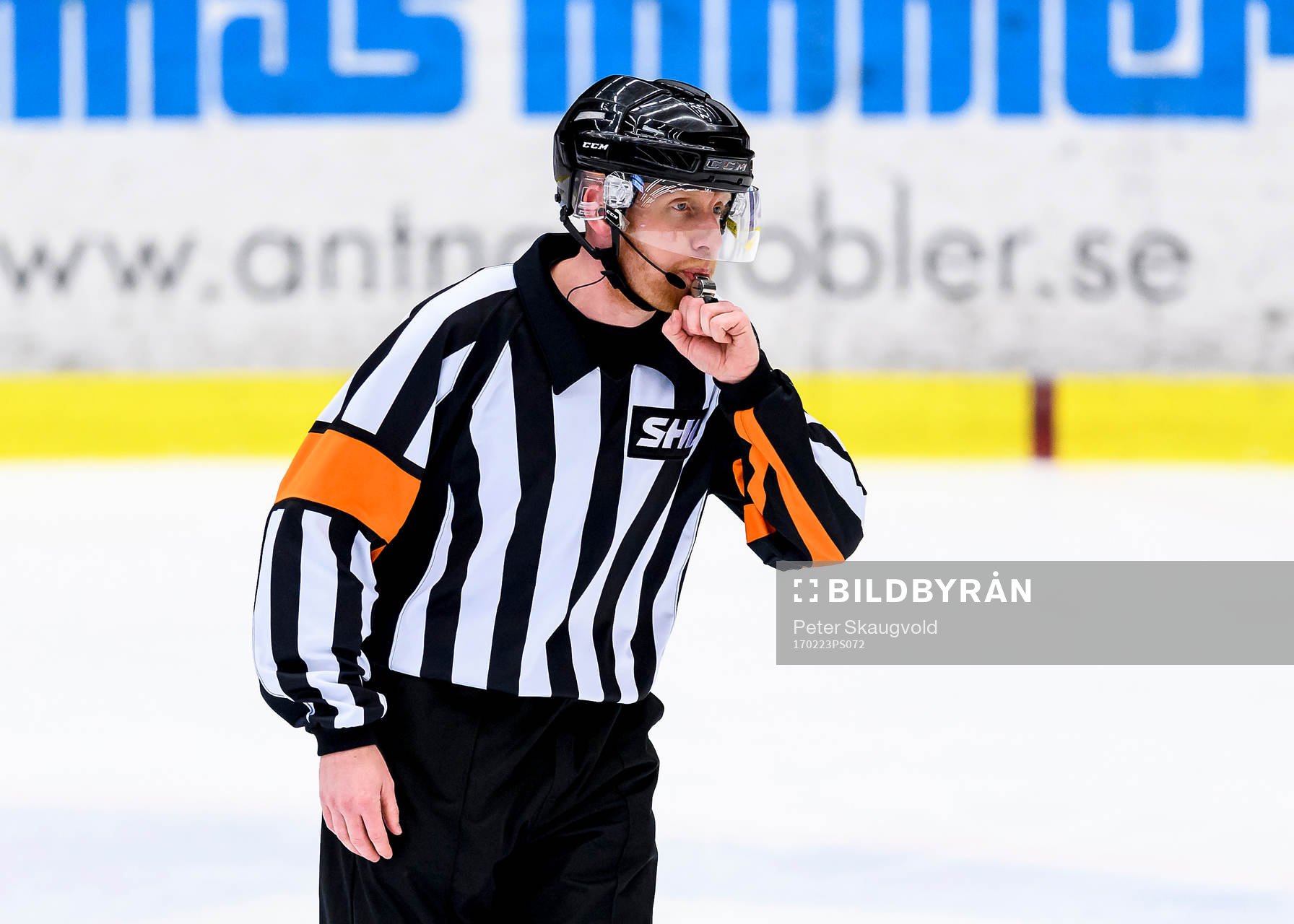 Domare Mikael Holm