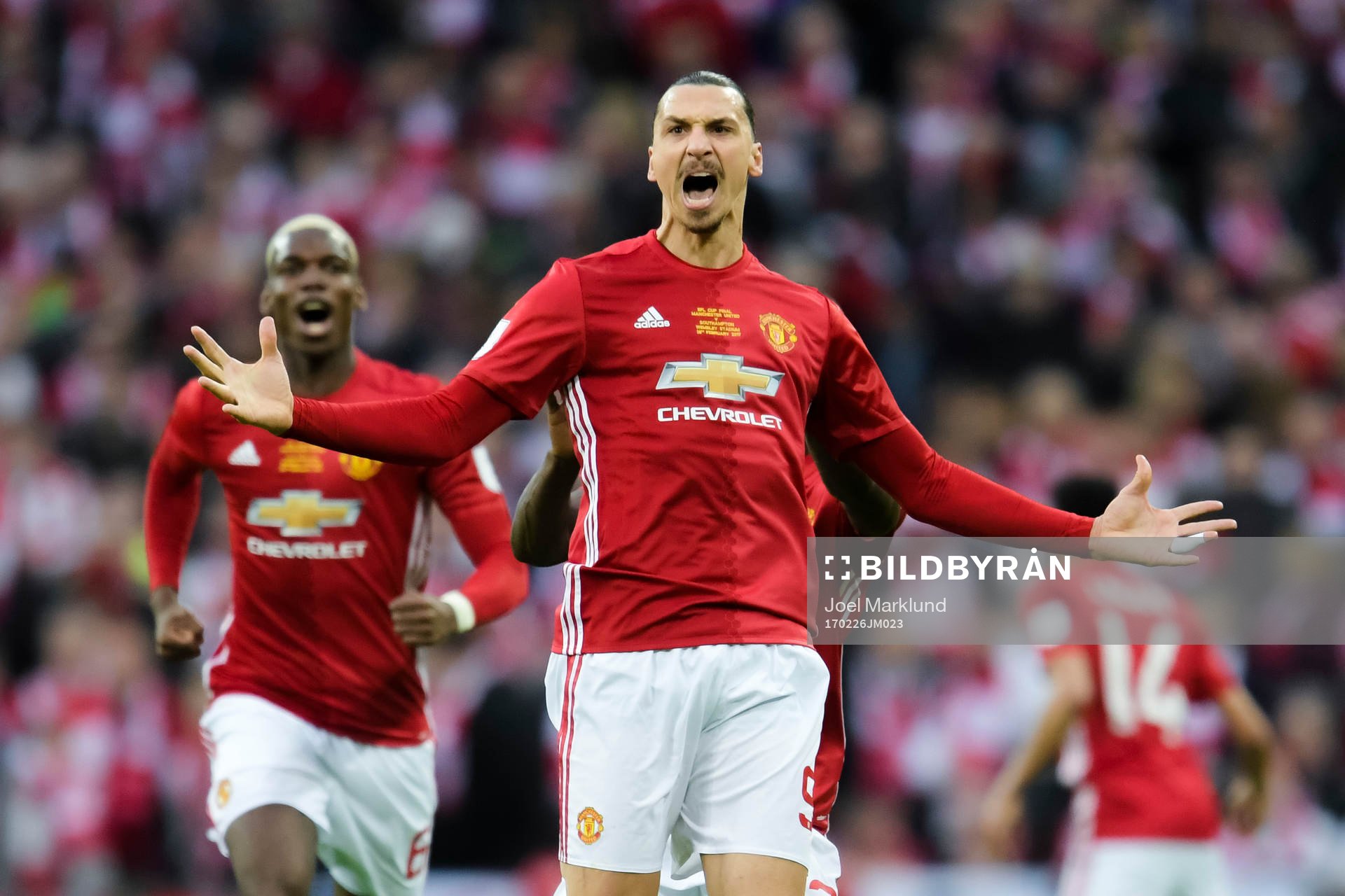 Manchester Uniteds Zlatan Ibrahimovic jublar