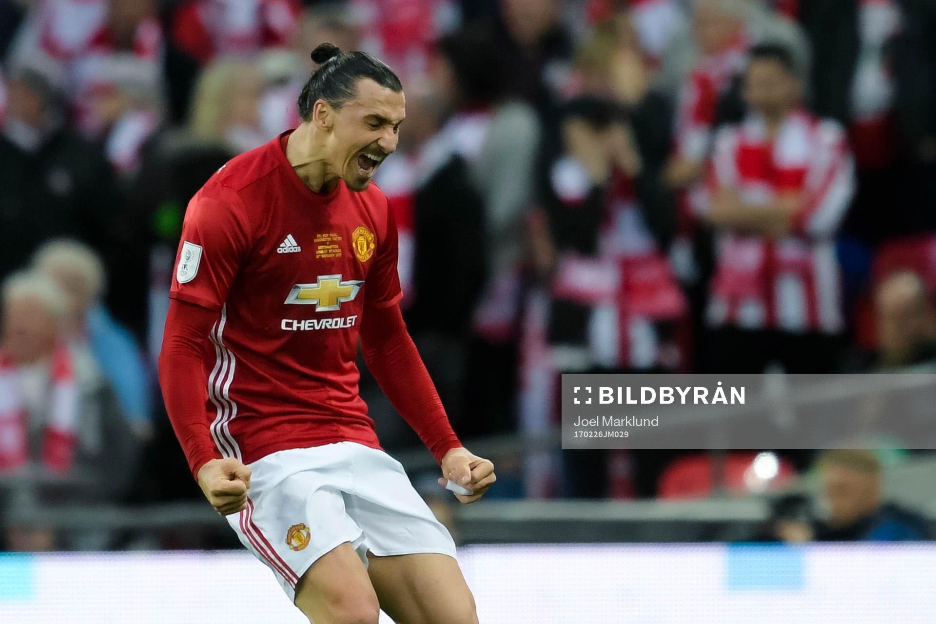 Manchester Uniteds Zlatan Ibrahimovic jublar
