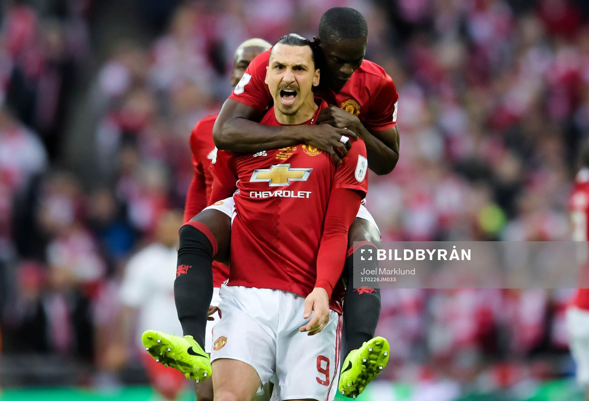 Manchester Uniteds Zlatan Ibrahimovic jublar