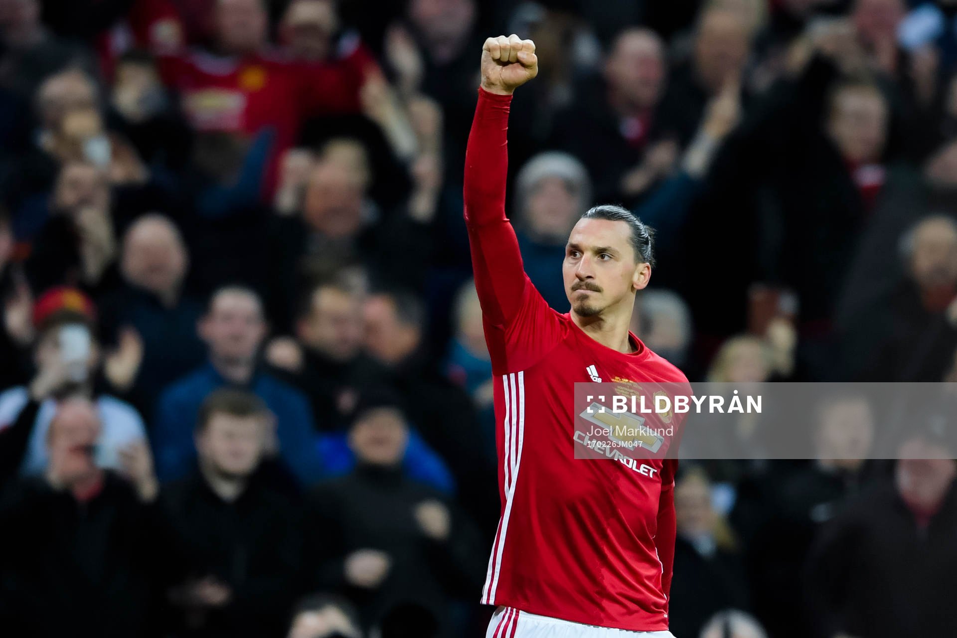 Manchester Uniteds Zlatan Ibrahimovic jublar