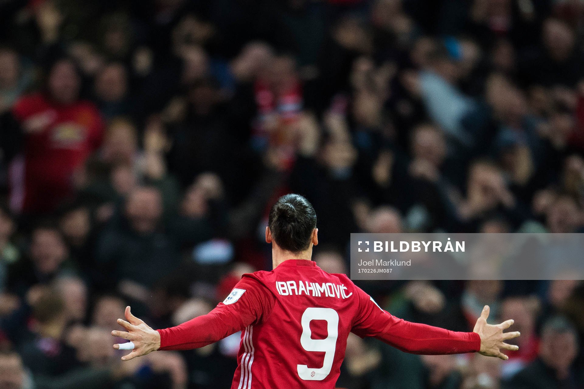 Manchester Uniteds Zlatan Ibrahimovic jublar