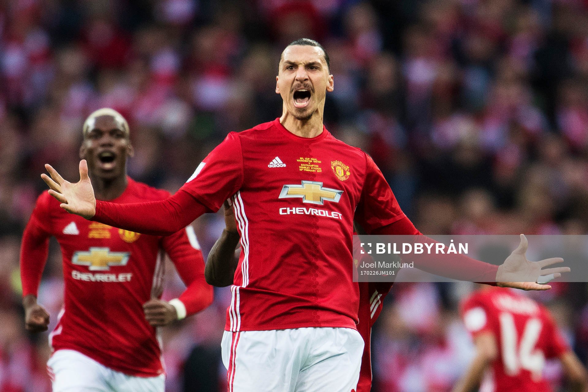 Manchester Uniteds Zlatan Ibrahimovic jublar