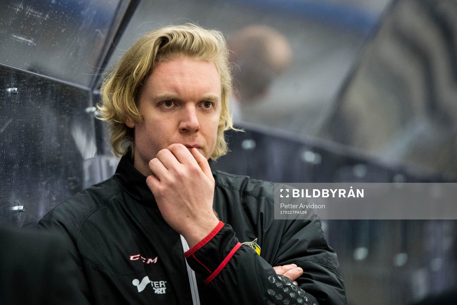 Panterns assisterande tränare Anton Blomqvist