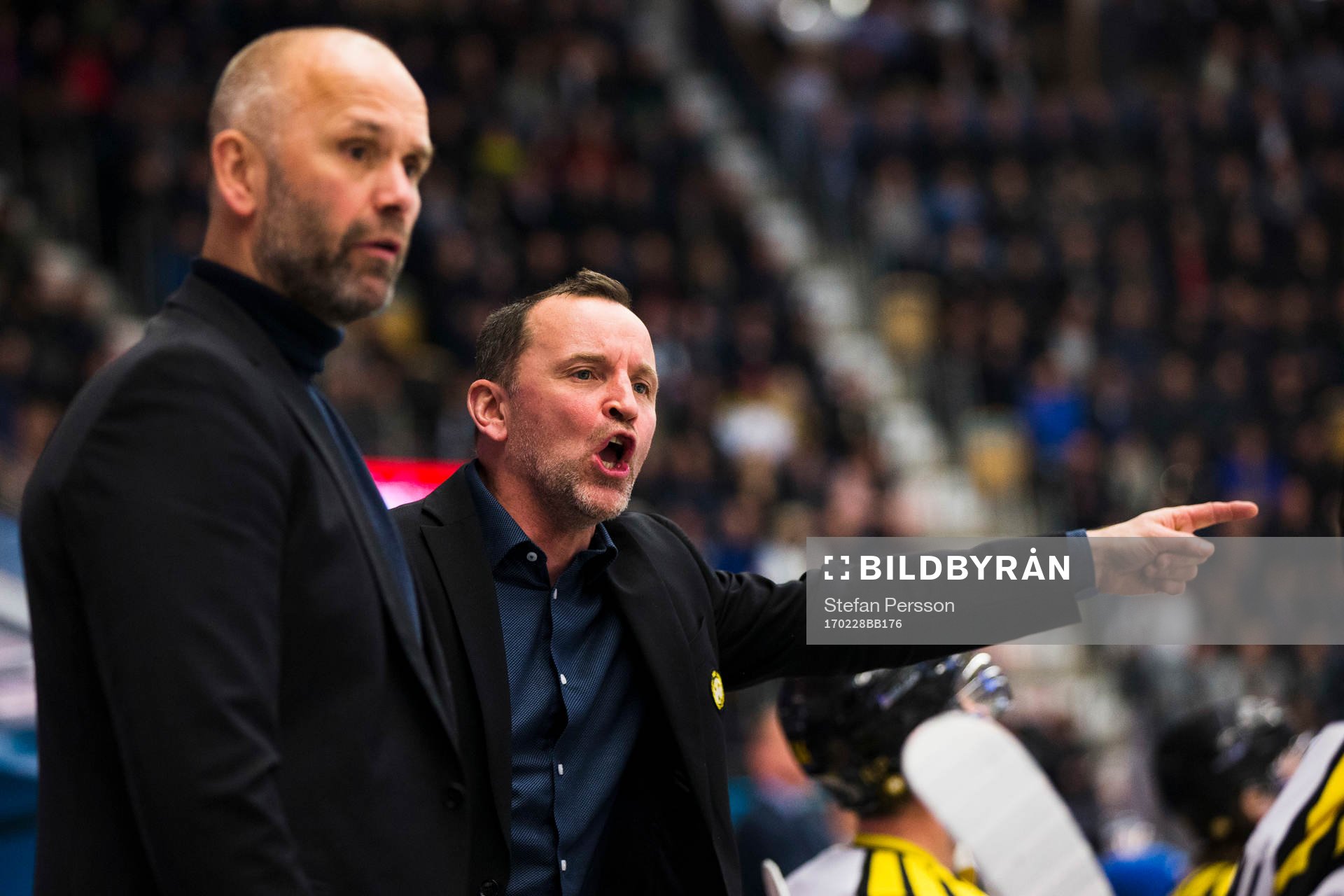 Brynäs assisterande tränare Tommy Sjödin och tränare