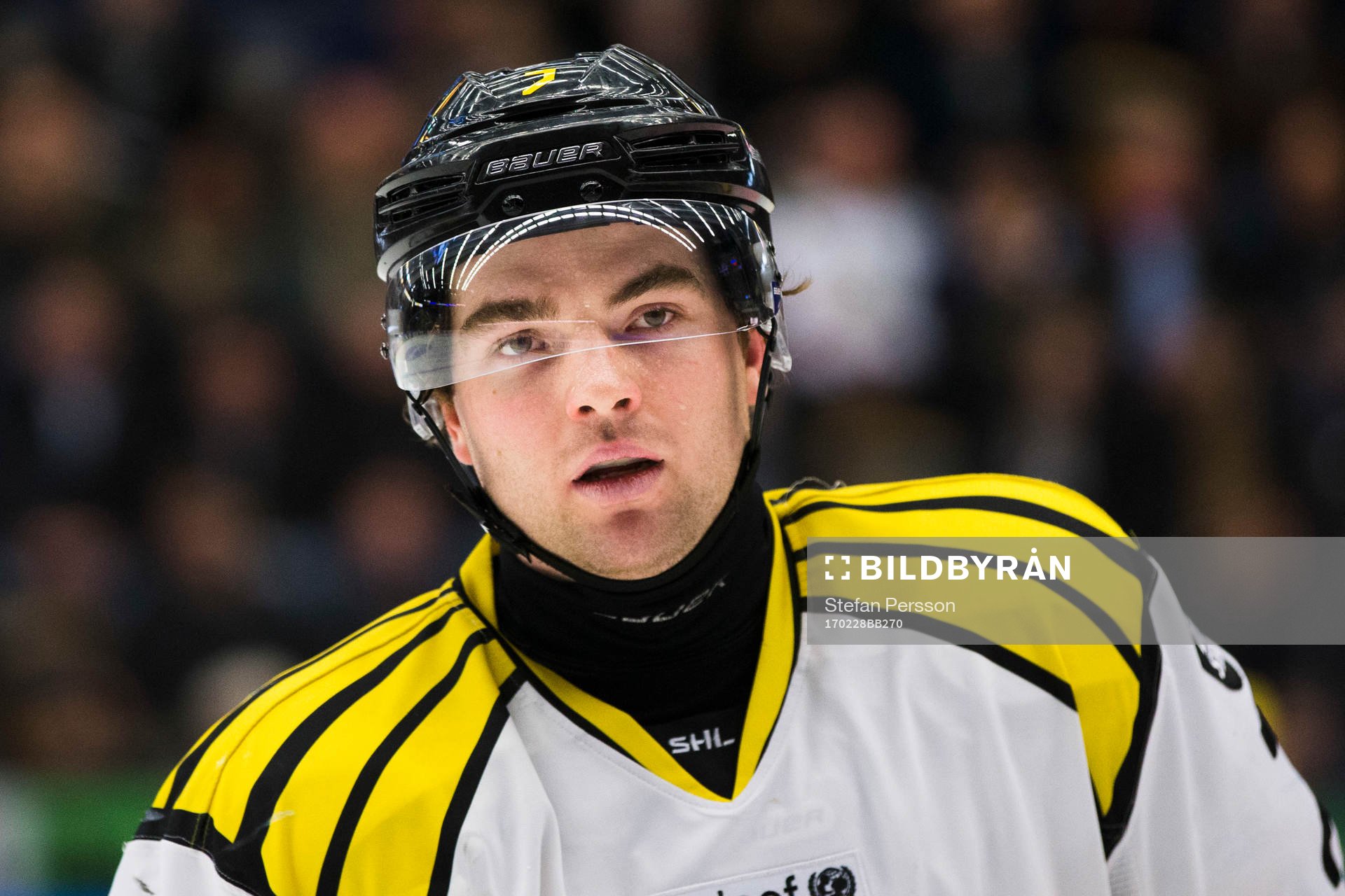 Brynäs Ponthus Westerholm