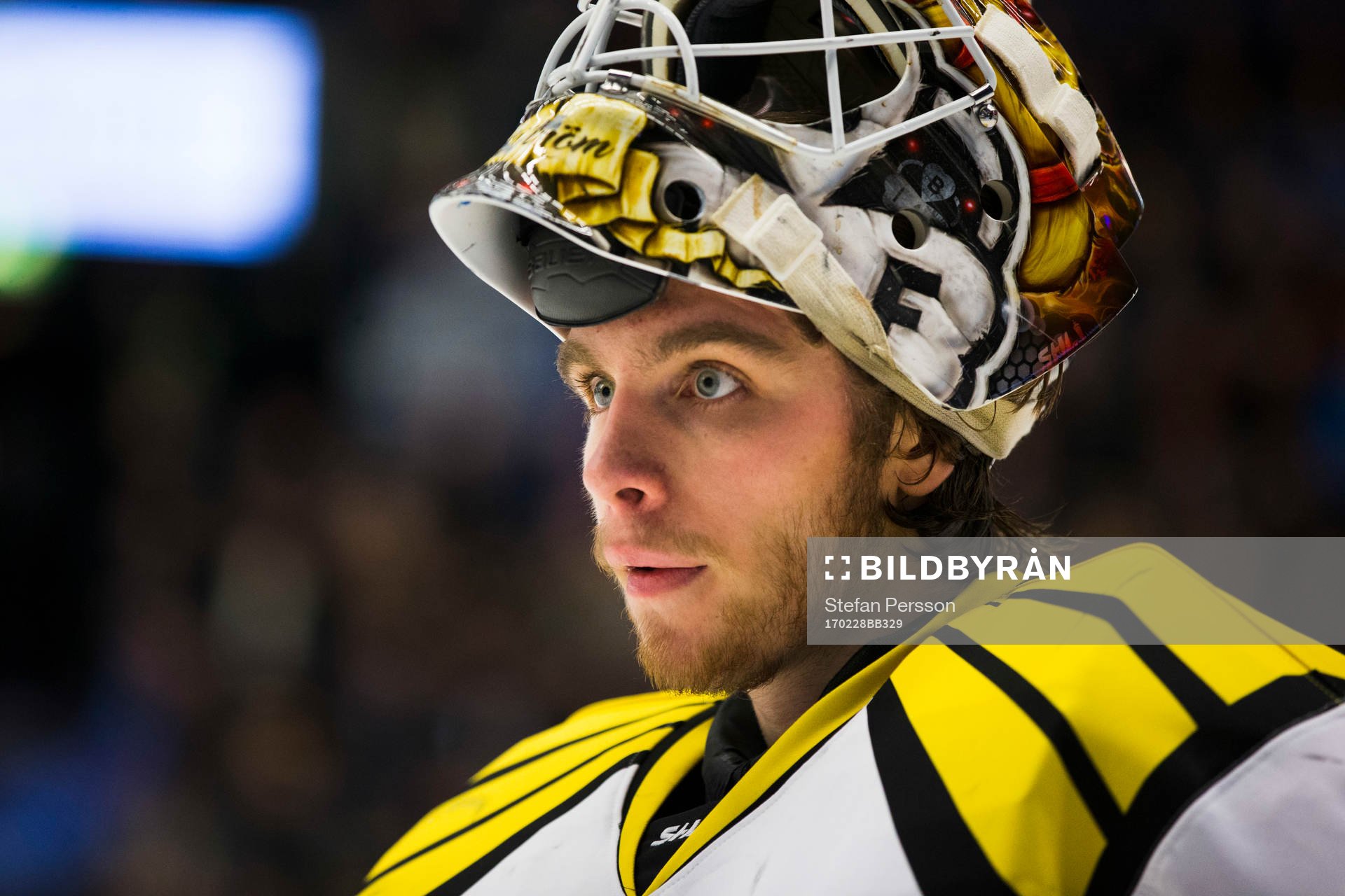 Brynäs målvakt Felix Sandström