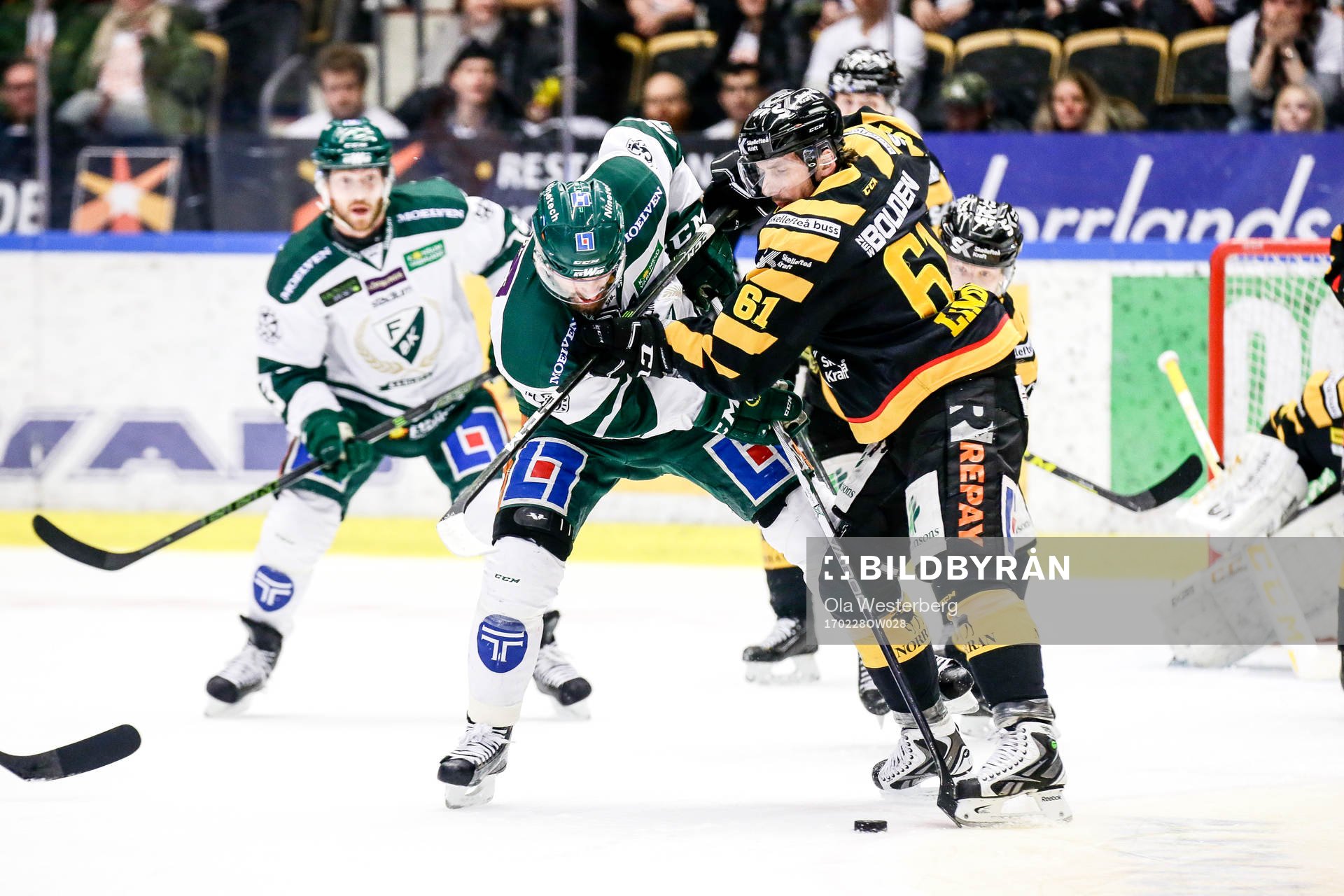Skellefteås Fredrik Lindgren
