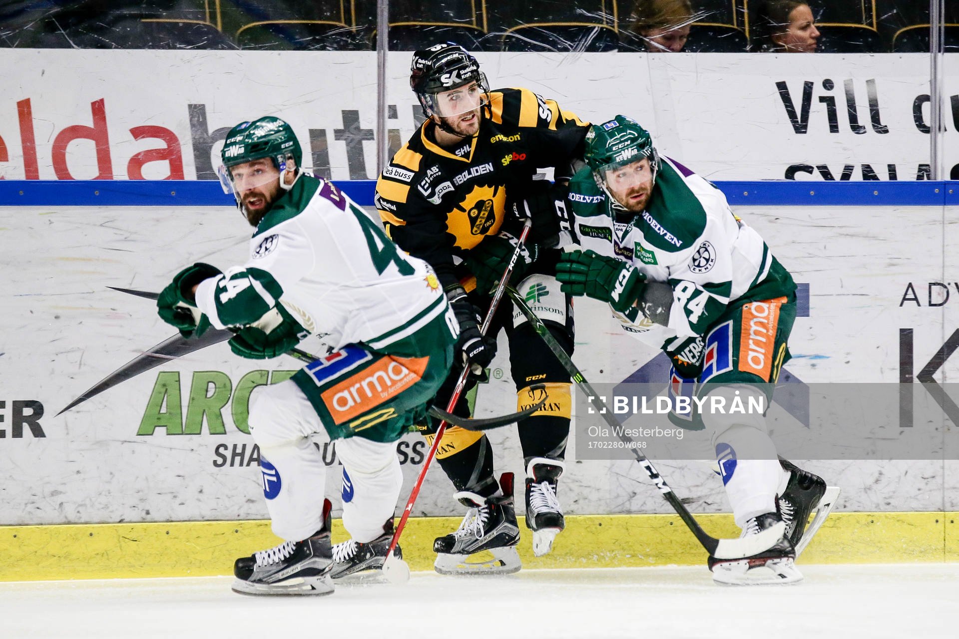 Skellefteås Bud Holloway
