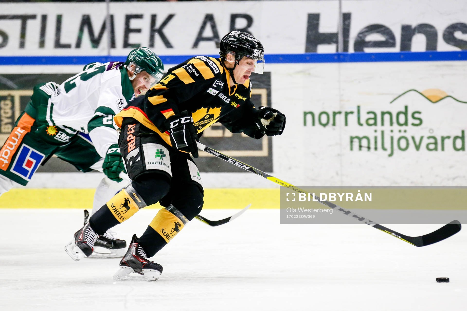 Skellefteås Henrik Hetta