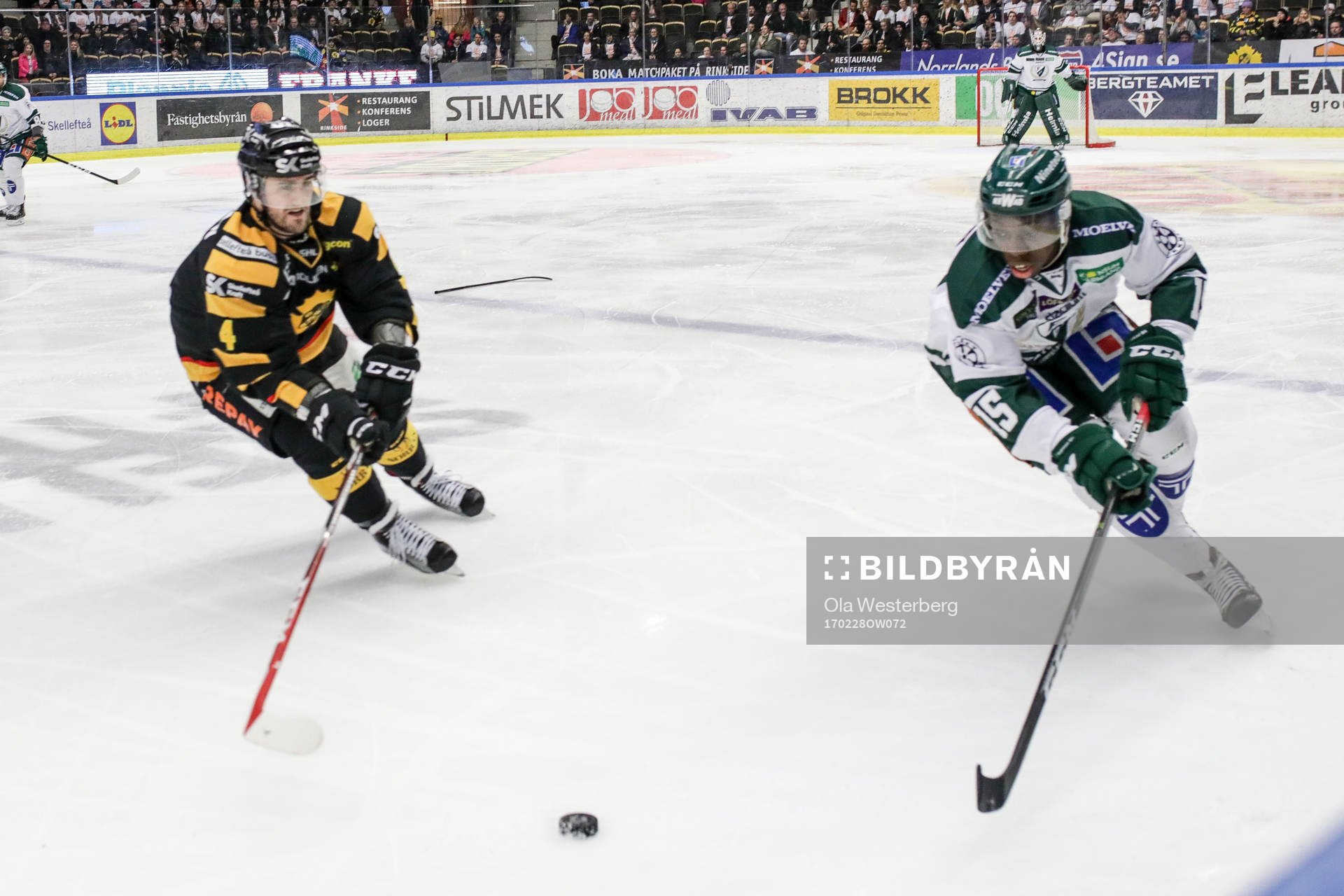 Skellefteås Bud Holloway