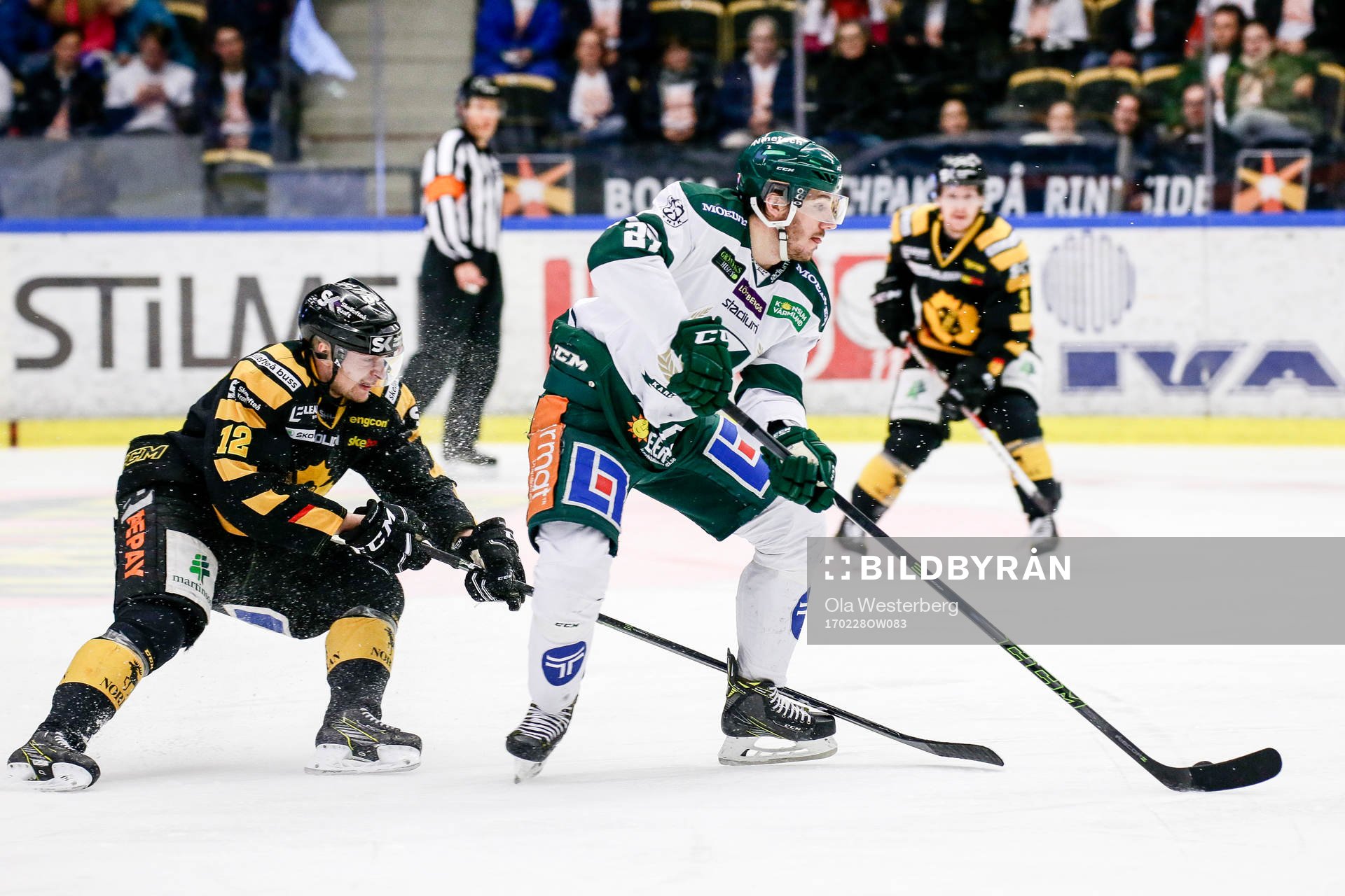 Skellefteås Adam Pettersson