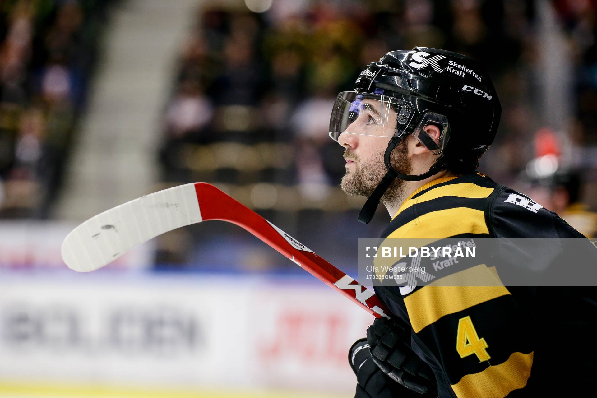 Skellefteås Bud Holloway