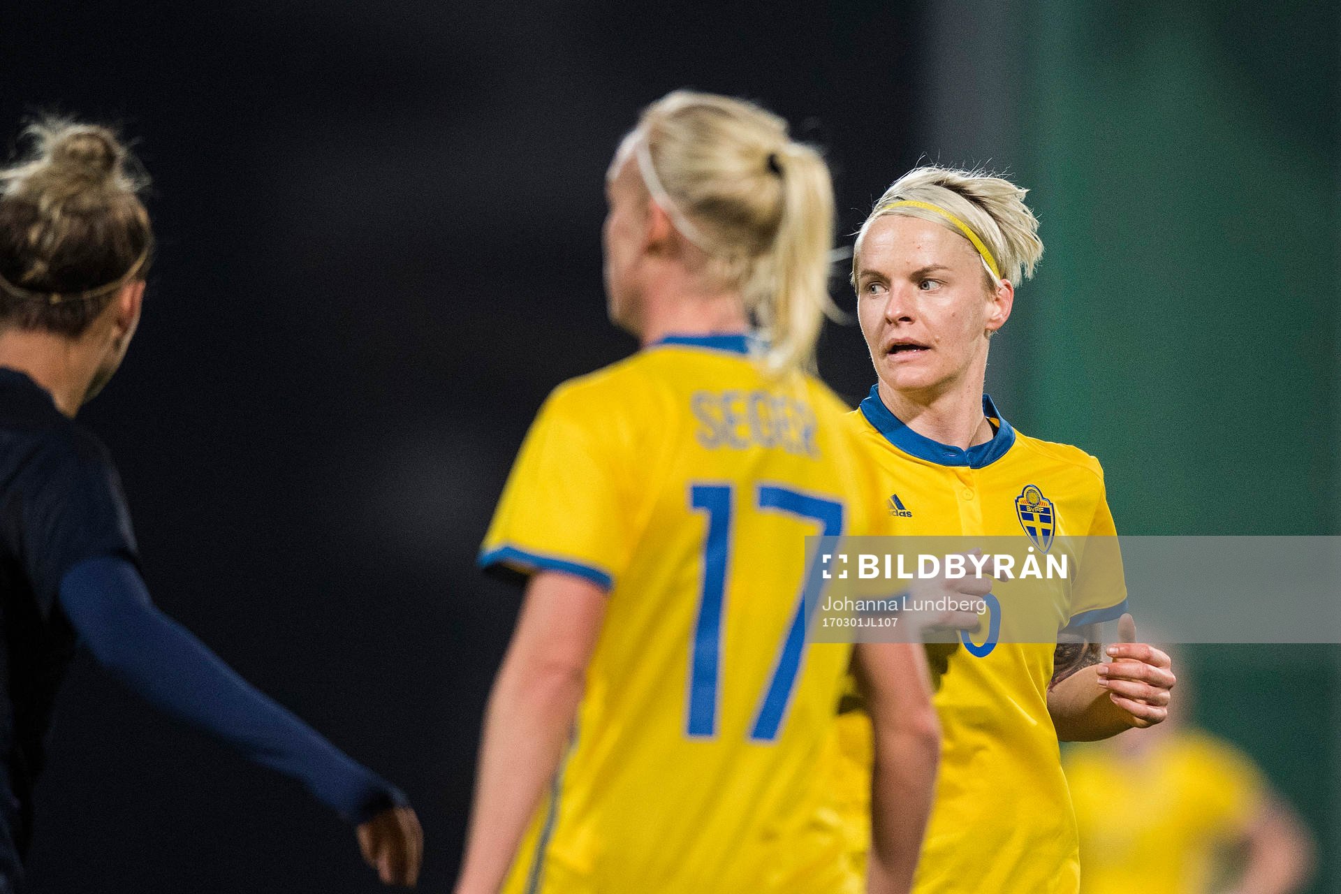 Sveriges Nilla Fischer