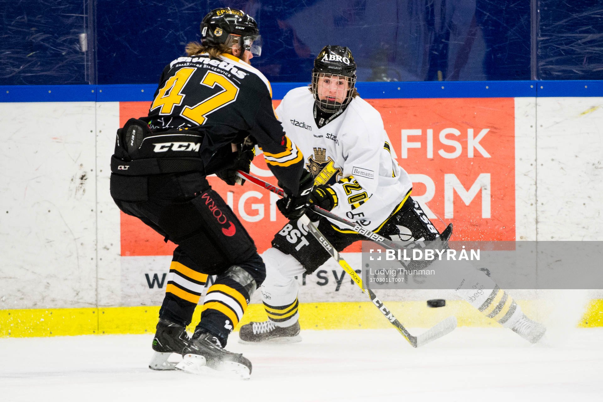 s Nils Höglander