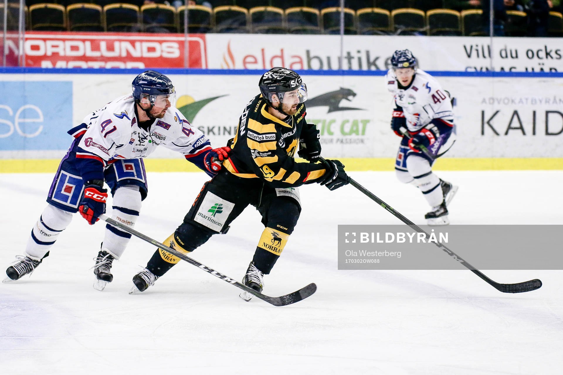 Skellefteås Andrew Calof