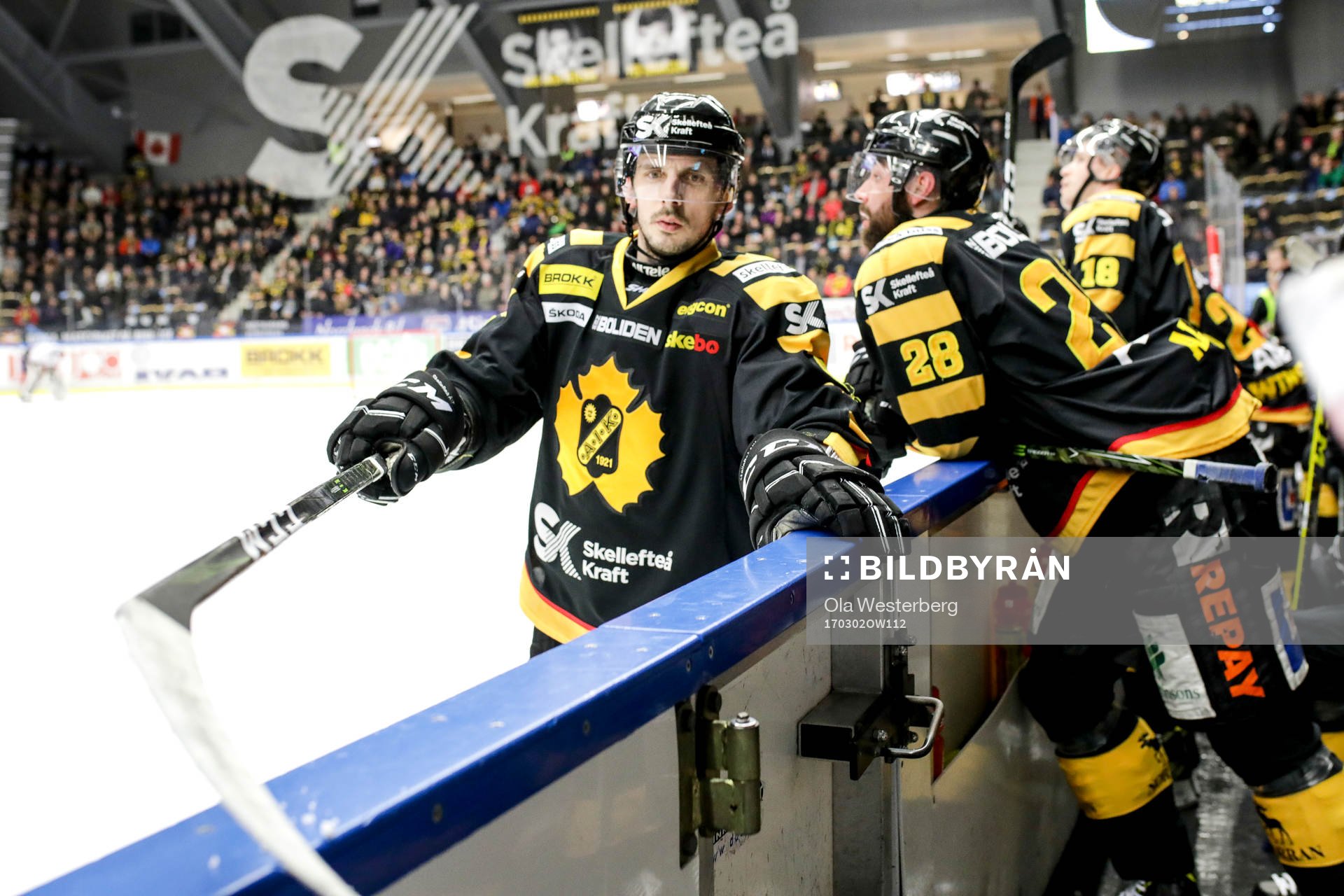 Skellefteås Fredrik Lindgren