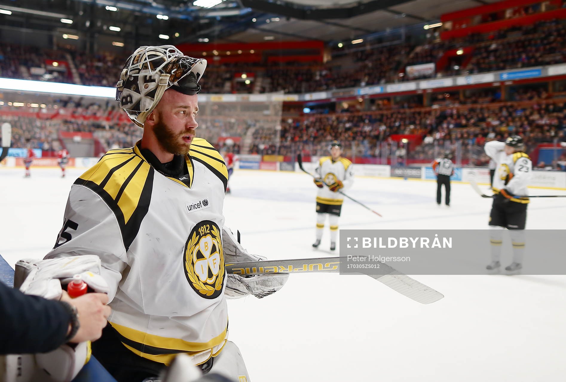 Brynäs David Rautio