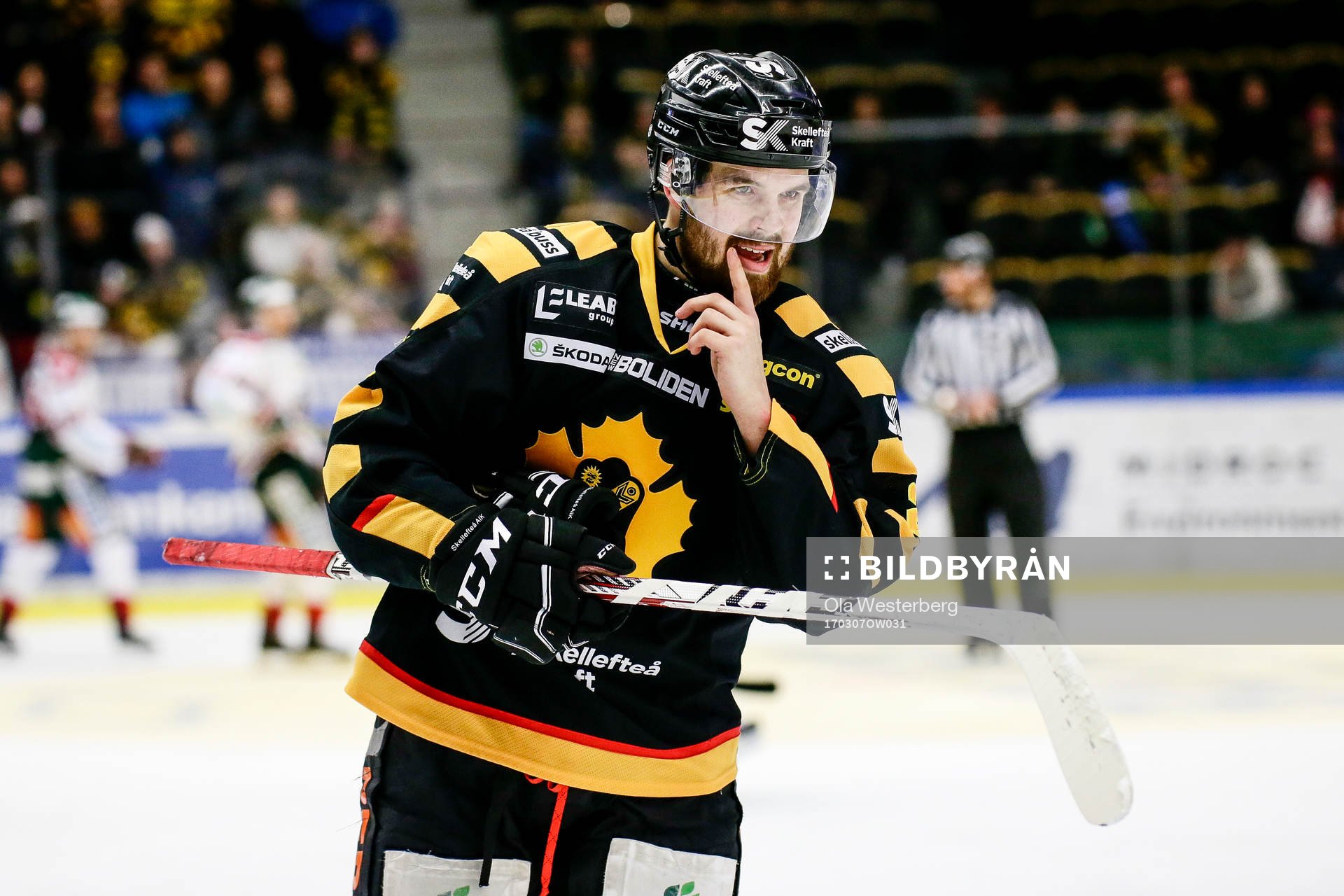 Skellefteås Axel Holmström