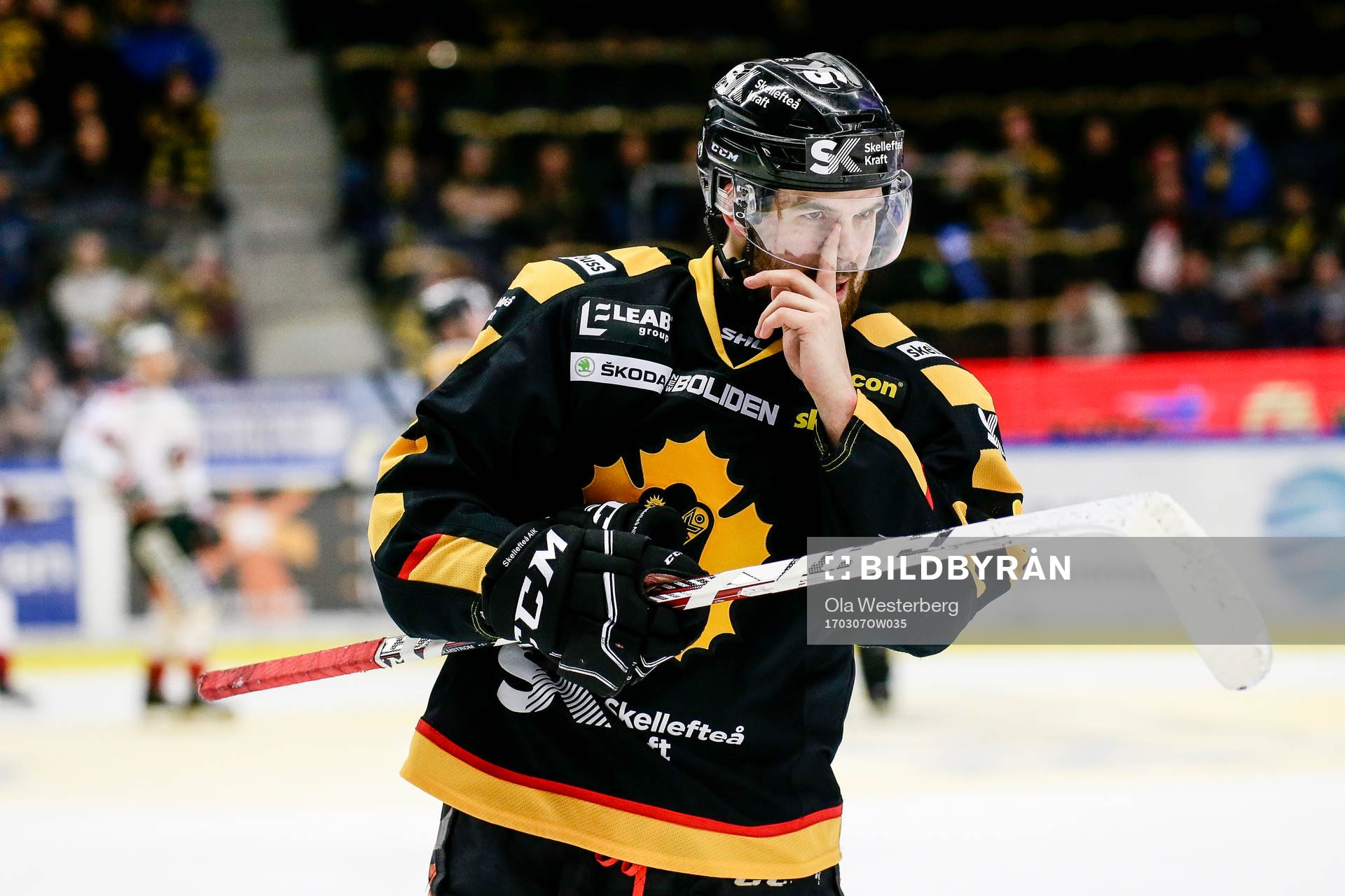 Skellefteås Axel Holmström