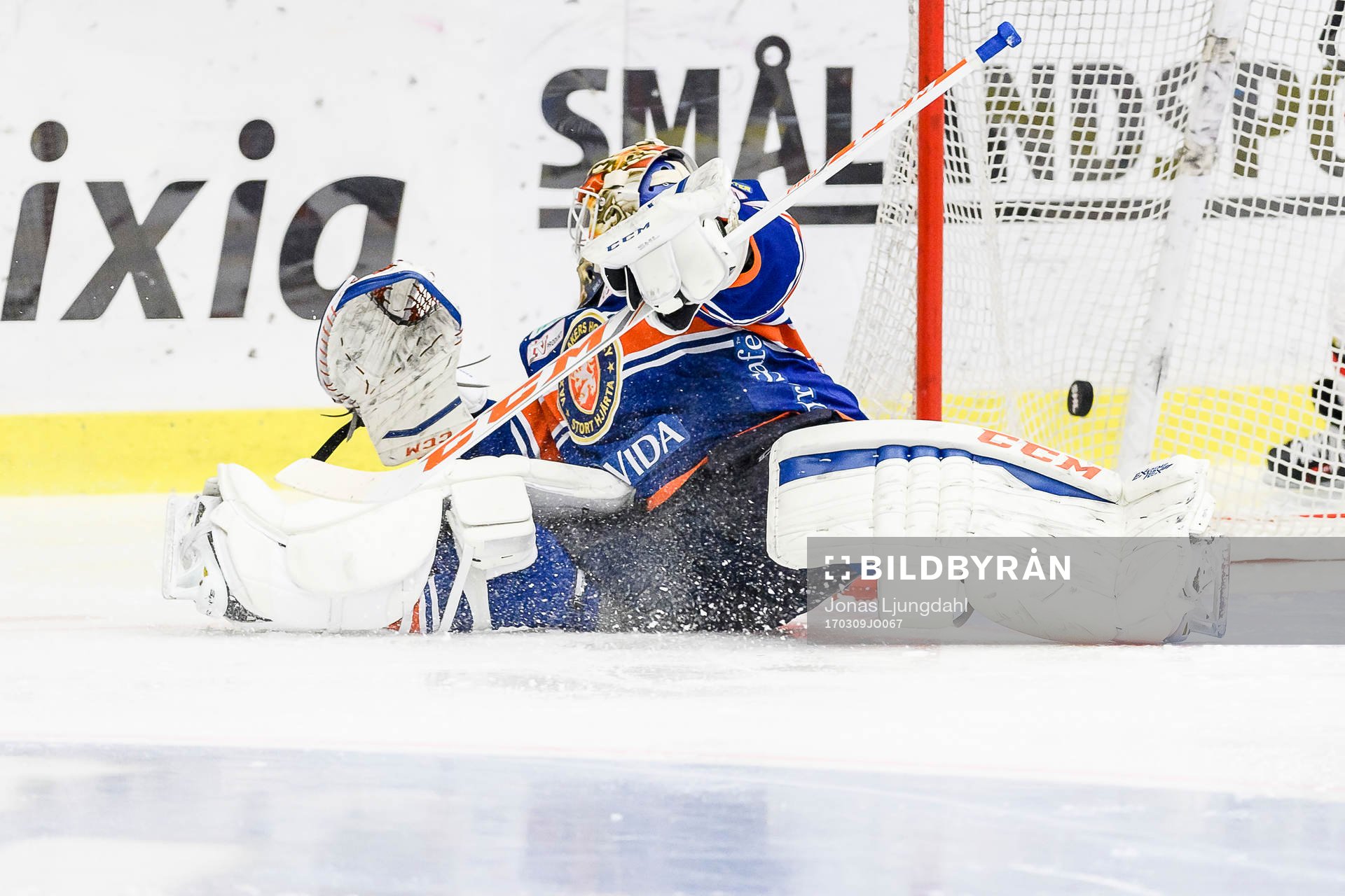 Malmö Redhawks Nichlas Hardt (ej i bild) gör mål 0-1