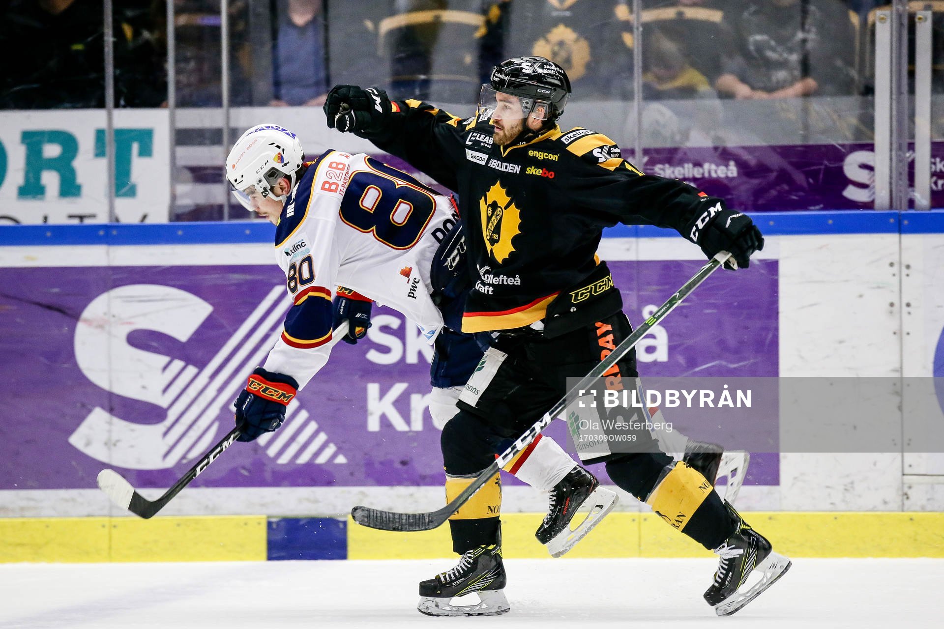 Skellefteås Andrew Calof