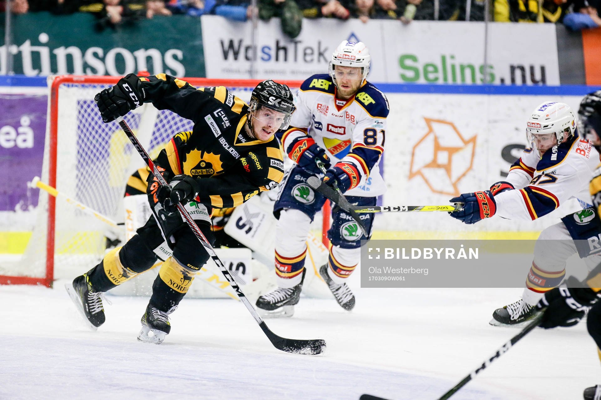 Skellefteås Niclas Burström