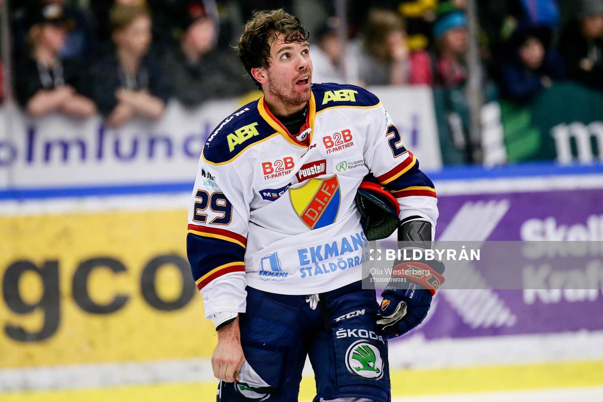 Djurgårdens Matt Anderson