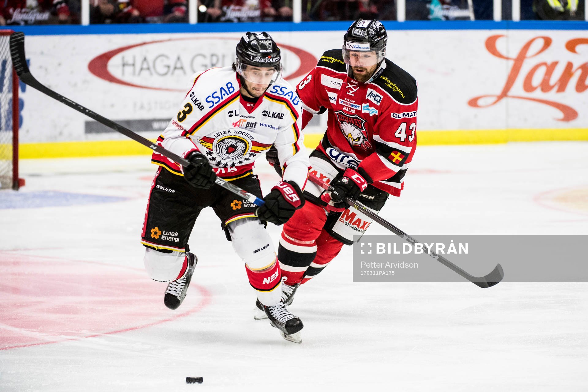 Luleås Daine Todd och Malmö Redhawks Nichlas Hardt