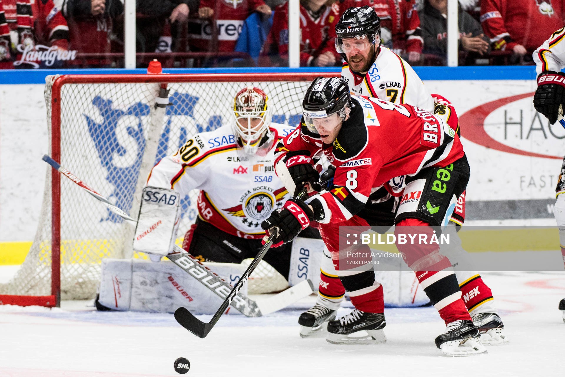Malmö Redhawks Lars Bryggman